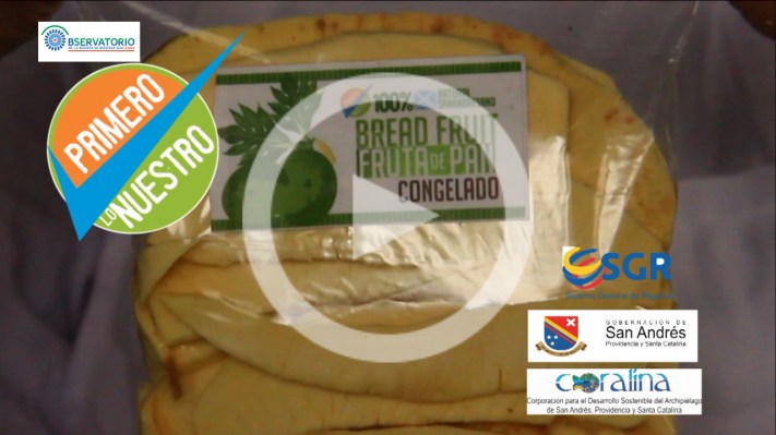 BREAD FRUIT_4